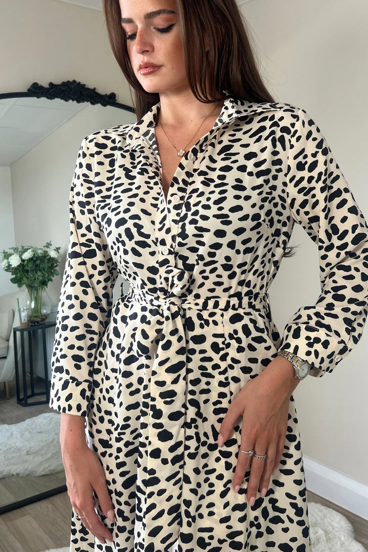 Angela Ivory Animal Print Long Sleeve Shirt Dress